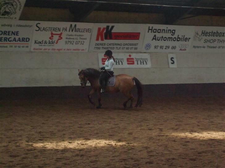 Anden særlig race Frydenhøjs Freja - 28 sep 08 billede 16
