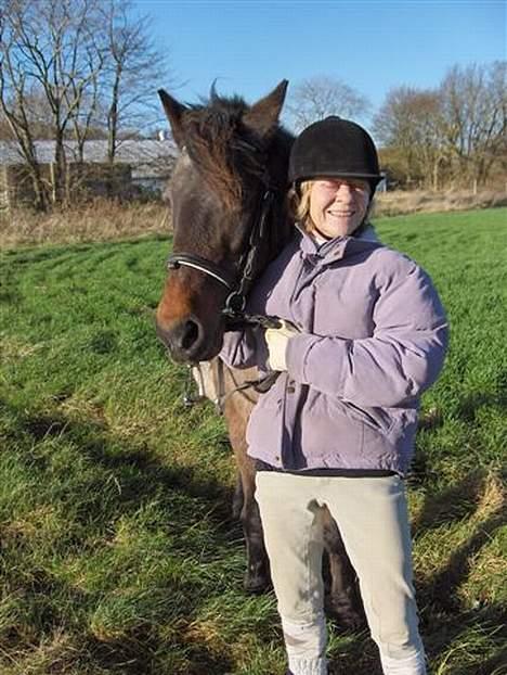 Anden særlig race Araber / Welsh Bonita  - ja ja... skal nok kigge... overveje det i hvert fald... billede 3