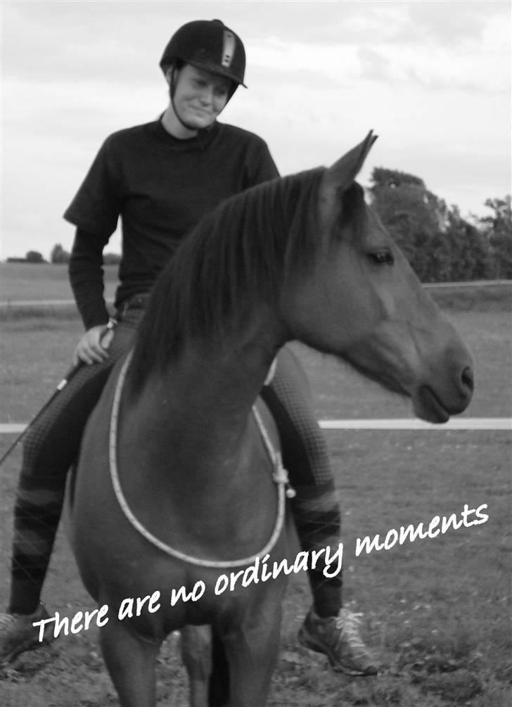 Sportsaraber (A) Paw - Ethvert øjeblik er dyrebart :-) billede 9