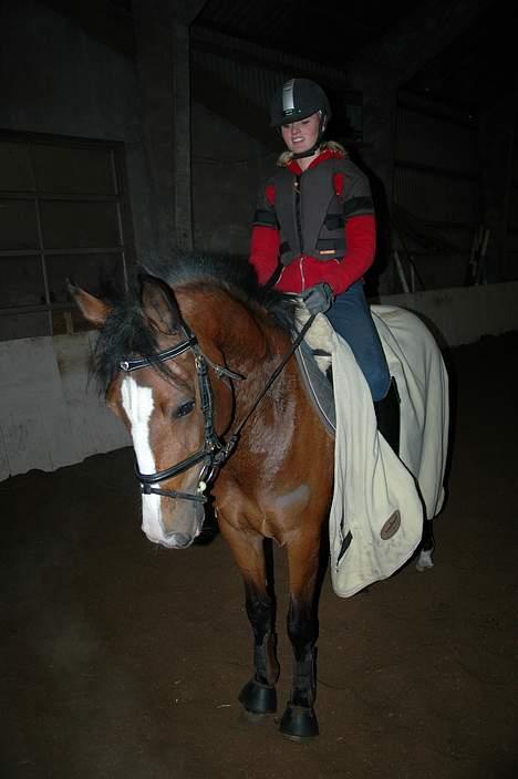 New Forest Amber - Første gang jeg red hende, var så forelsket fra starten! billede 4