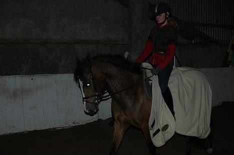 New Forest Amber - Første gang jeg red hende, var så forelsket fra starten! billede 6