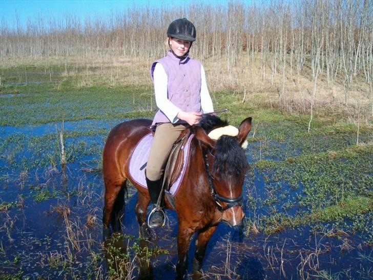 Anden særlig race Flying Fie  - Fie & jeg i "vandet" ;)   ... Foto: Nanna B billede 19