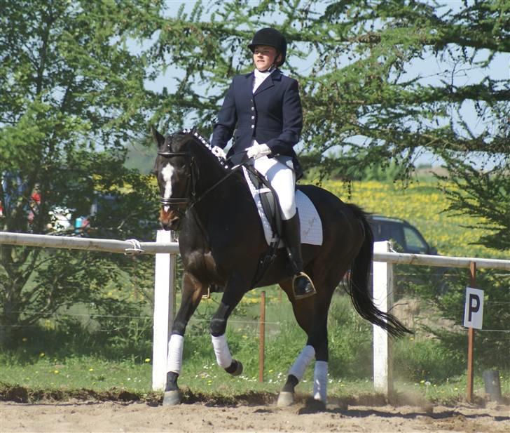 Fuldblod (XX) **Kat-o xx (Den)** - Maj 08: Kat-o og mig til stævne i molger efter 3 års pause. Havde ikke trænet overhovedet op til stævnet, for det var meningen jeg skulle have redet på Kalista  :D billede 6