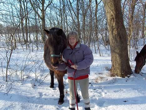 Anden særlig race Araber / Welsh Bonita  - Her står så min smukke pony med sin bedsteste ven Jette billede 5