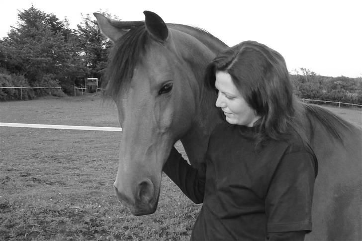 Sportsaraber (A) Paw billede 11