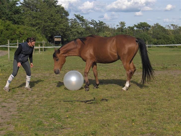 Sportsaraber (A) Paw - spørg mig ikke om hvad pokker det er jeg laver... jeg må være forsvars spiller :-) billede 15