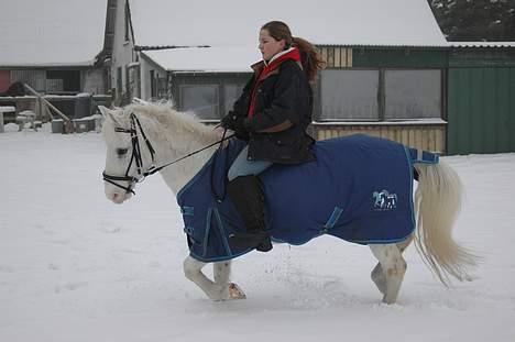Anden særlig race Sonny*DØD* billede 7