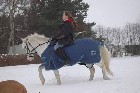 Anden særlig race Sonny*DØD* billede 8