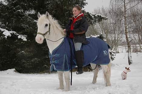 Anden særlig race Sonny*DØD* billede 10