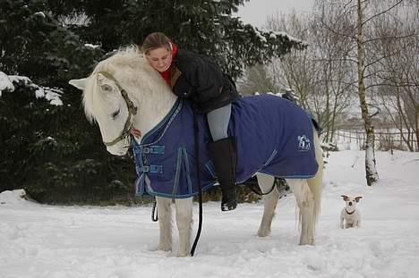 Anden særlig race Sonny*DØD* billede 11