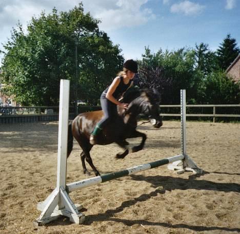 Gotlandsruss Maja (DØD) - (ved godt billedet er lidt sløret) billede 14