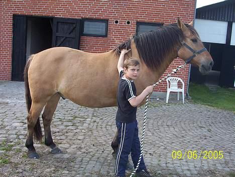 Anden særlig race Makker billede 2