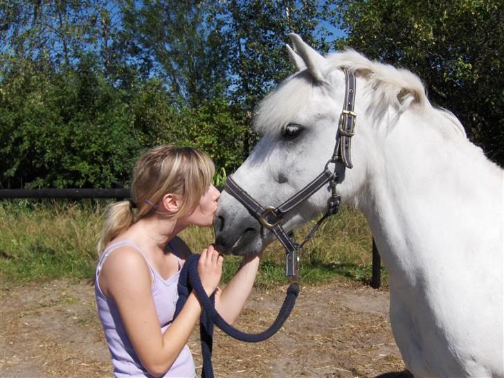 Anden særlig race Flik Flak <3 *SOLGT* :'( - D. 31/7 2008 den sidste dag med ponyen.. :(  Elsker - og savner - ham.. <3 <3 <3 Det er stadig mærkeligt, at man ikke bare kan tage ud til sin elskede pony, når man har lyst.. :/ billede 1