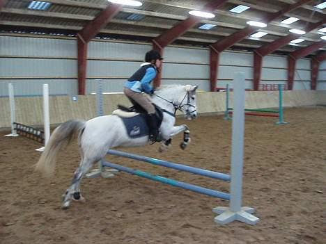 DSP Stidsbjergs Tabitta - Miig, Og Tag , <3 Træning Hjemme !  Tab: Wee, HURTIG, Se Lyynhesten <3 billede 5