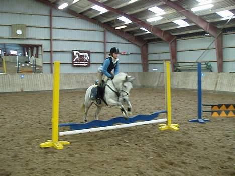 DSP Stidsbjergs Tabitta - Tabber og jeg springer bølgeplanke, Ikk så høj, det var første rundte <'3 billede 7