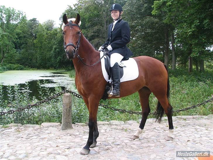 Anden særlig race Florentine - Stævne DRLR 07 billede 6