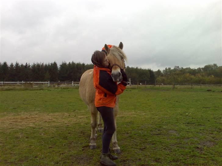 Fjordhest Lukas - Mig og Lukas - Foto Mette billede 2
