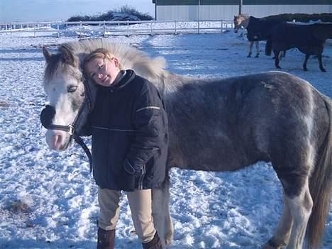 Anden særlig race Fjordbollen Frede <3 - Hubbi og sus <33 billede 13