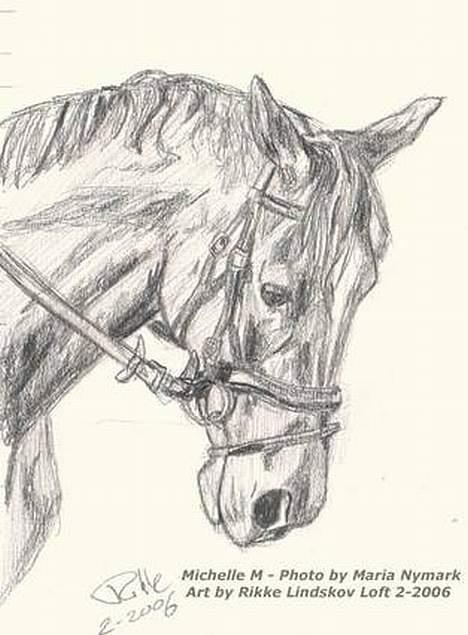 Dansk Varmblod Michelle M RIP. - Er tegnet af  Rikke Lindskov Loft :)  billede 11