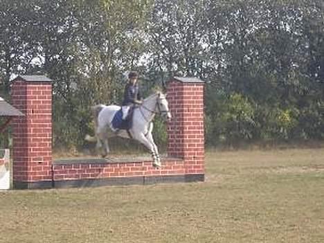 Arabisk fuldblod (OX) Aliman OX R.I.P. - Aliman og jeg på vej over muren... sommer/ efterår 2005 billede 11