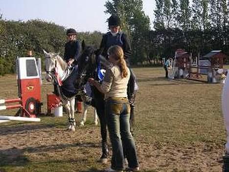 Arabisk fuldblod (OX) Aliman OX R.I.P. - Aliman og jeg er lige blevet klubmestre i spring og har modtaget roset og skridttæppe... billede 12