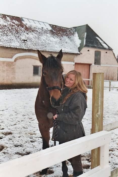 Anden særlig race Amigo - Forevigt i mit hjerte... - Kan man blive mere forelsket?? Har lige fået ham. 2005. billede 5