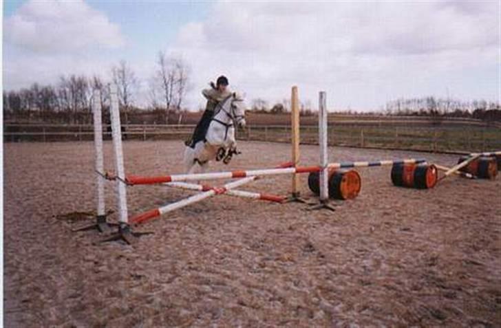 Connemara Jolly Jumper *SOLGT* - Springer MB :D billede 16