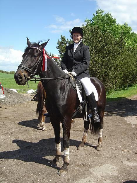 Anden særlig race ++Loke, Elsket & savnet++ - idste stævne vi var til inden han blev skadet og døde. Men det var da en god afslutning. 1. plads i lc2! billede 2