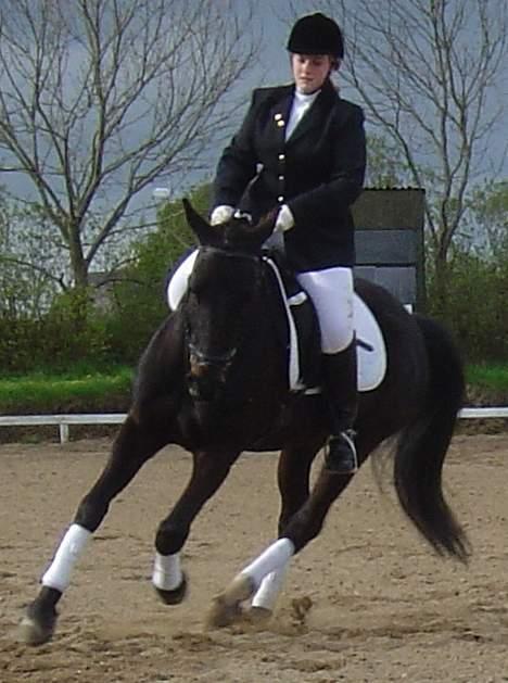 Anden særlig race ++Loke, Elsket & savnet++ - Her er vi til vores første ude stævne..! billede 7