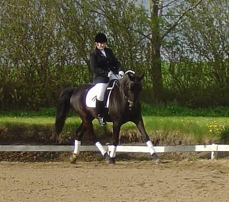 Anden særlig race ++Loke, Elsket & savnet++ - UhhH! billede 9