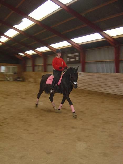 Anden særlig race ++Loke, Elsket & savnet++ - NYT: 13/4-06: Schenkelvigning..! billede 10