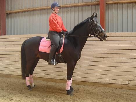 Anden særlig race ++Loke, Elsket & savnet++ - NYT: 14/5-06: Smukke Loke...! billede 11