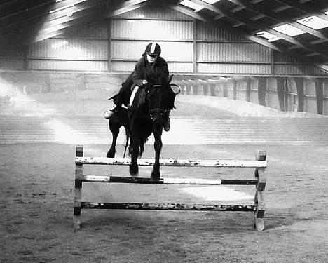 Anden særlig race ++Loke, Elsket & savnet++ - Loke og Ida springer så fint..! billede 12