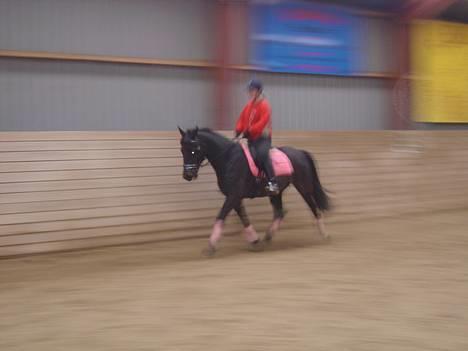 Anden særlig race ++Loke, Elsket & savnet++ - NYT: 13/4-06:  Meget sløret, men et fedt billede alligevel..!  billede 15