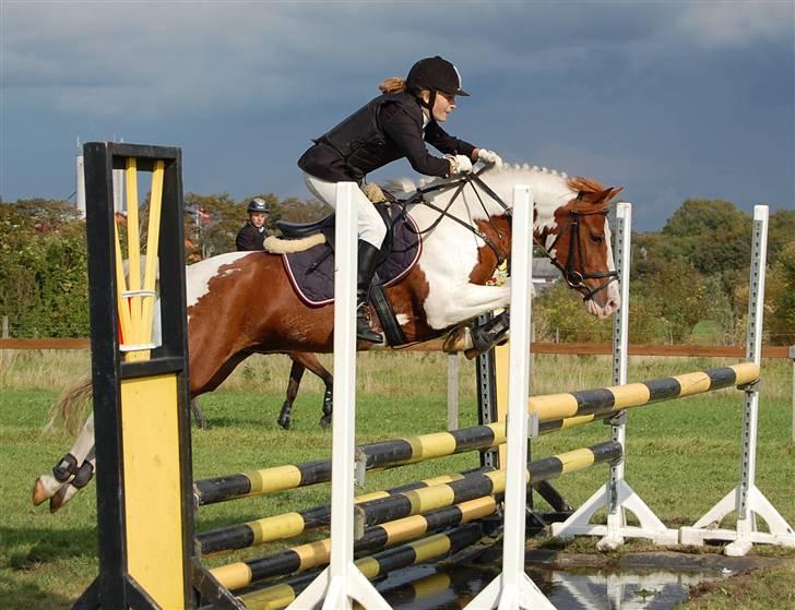 Anden særlig race Magic Sunnyboy - Guldager c-stævne MB met. B4 - 7. plads :* 1. nulrunde :D Alt for dejlige pony i; [Foto: Sandra Wanner] billede 2