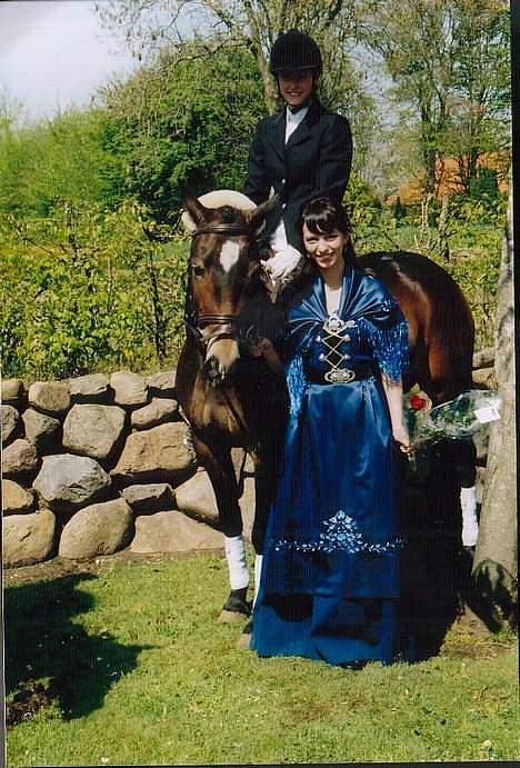 Anden særlig race VlietstedeBrilliantIdris billede 9