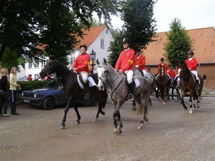 Traver Cip-la-cat - cip la cat - vinder af schackenborg jagt 2007 :D billede 3