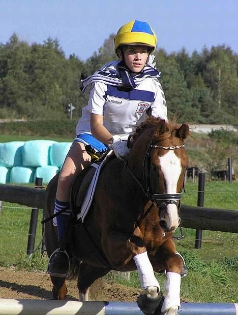 Anden særlig race Nova stauslykke Solgt - Min veninde og hendes elskede pony billede 11