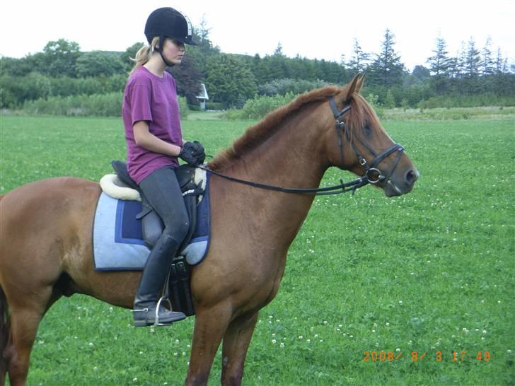 DSP Düval  - Düval. - Foto: mor. billede 2