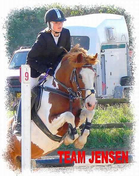 Pinto Winnitou solgt  - til undervisning ved THOMAS JENSEN ...taget af KRISTINA OUTZEN  billede 5