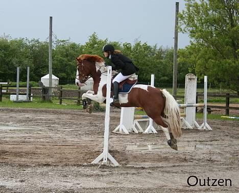 Pinto Winnitou solgt  - omspringning i LB...taget af KRISTINA OUTZEN  billede 11