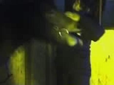 Islænder Silkesif<3 - Trætte Siffer. <3 billede 8