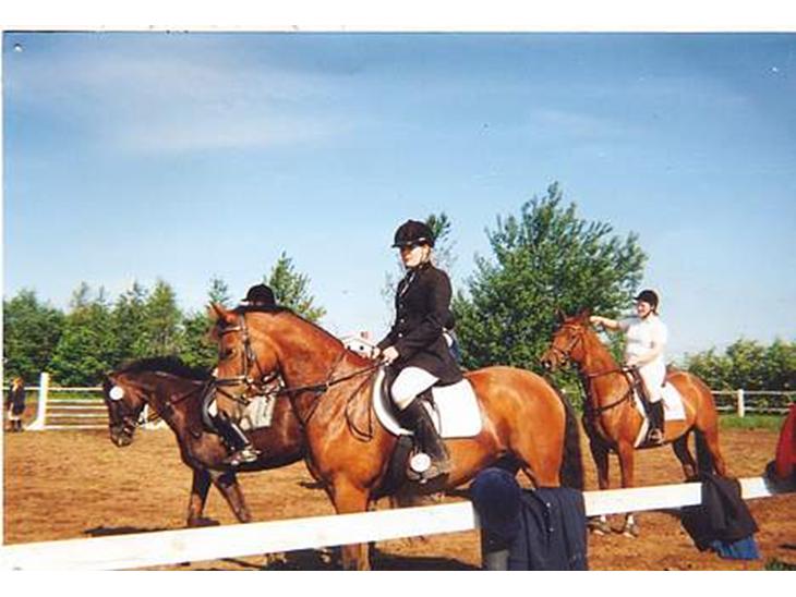 {{currentPhoto.altText}} billede {{currentPhoto.number}}