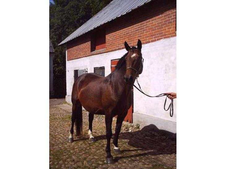 {{currentPhoto.altText}} billede {{currentPhoto.number}}