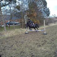 Anden særlig race Jolly!<3