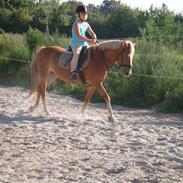 Anden særlig race beauty<3