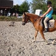 Anden særlig race beauty<3