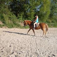 Anden særlig race beauty<3