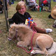 Shetlænder Nanna á Holte