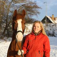 Anden særlig race Comet